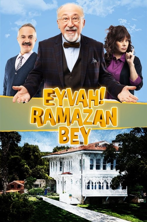 Постер сериала Увы, господин Рамазан