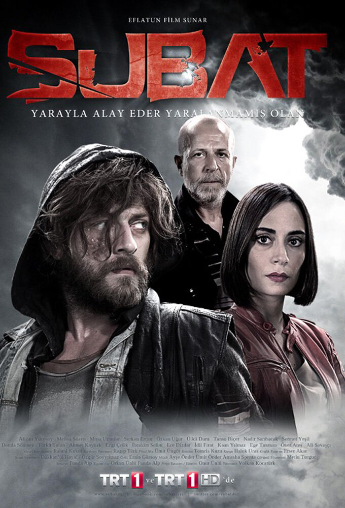 Постер сериала Февраль