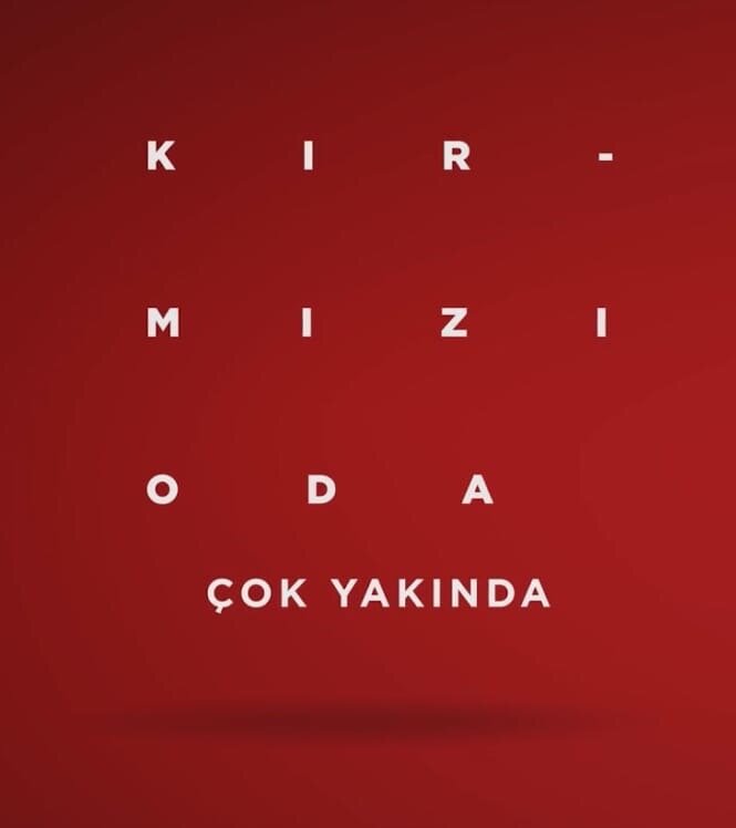 Постер сериала Красная комната
