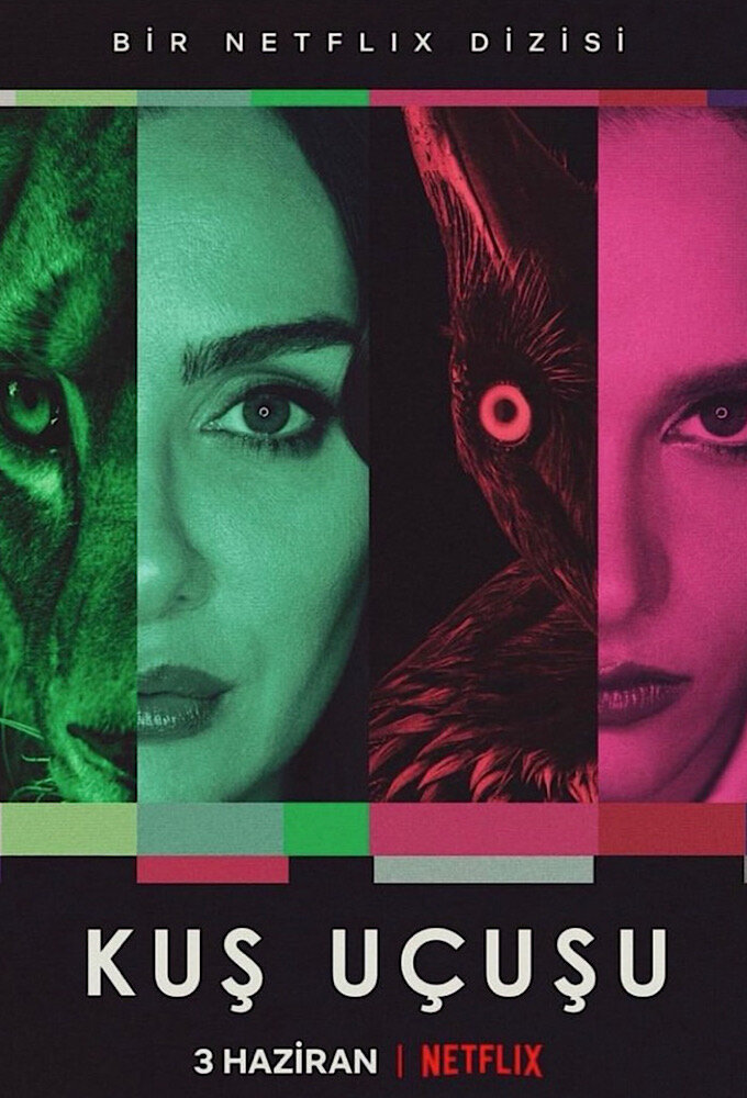 Постер сериала Полет птицы