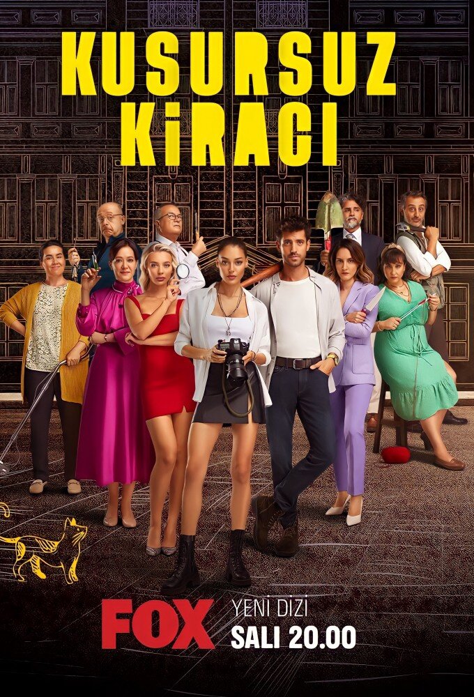 Постер сериала Идеальный арендатор